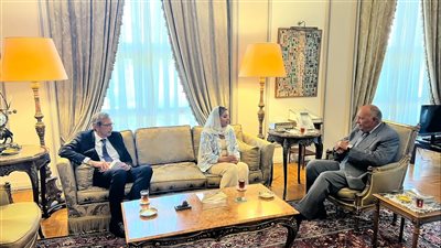 شكري: مصر تولي أهمية كبيرة لملف تعزيز حقوق المرأة وتمكينها 