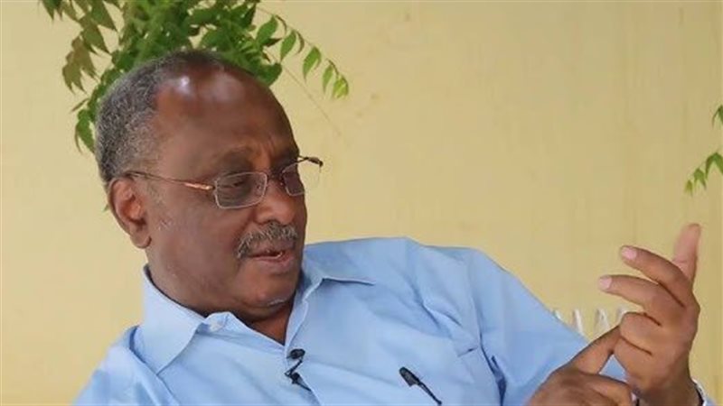 الأديب السوداني هاشم