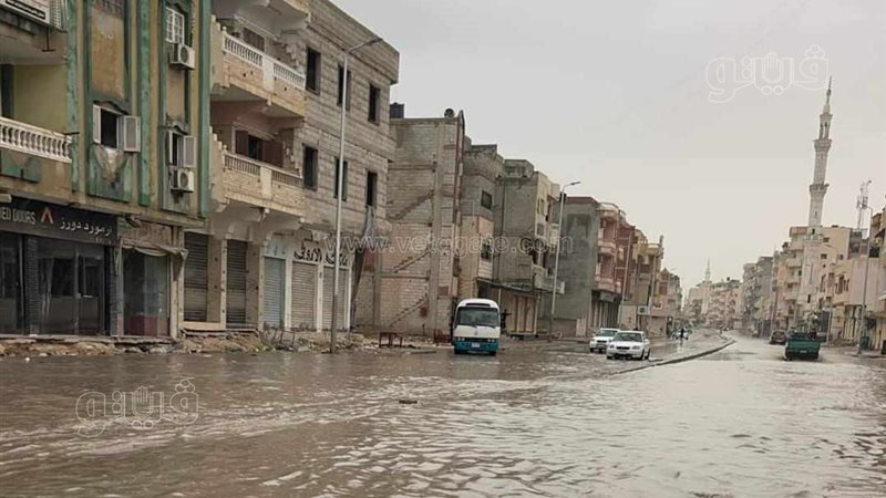مدينة العريش،فيتو