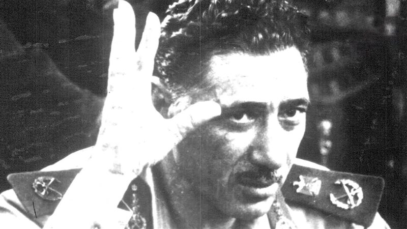عبد الحكيم عامر،