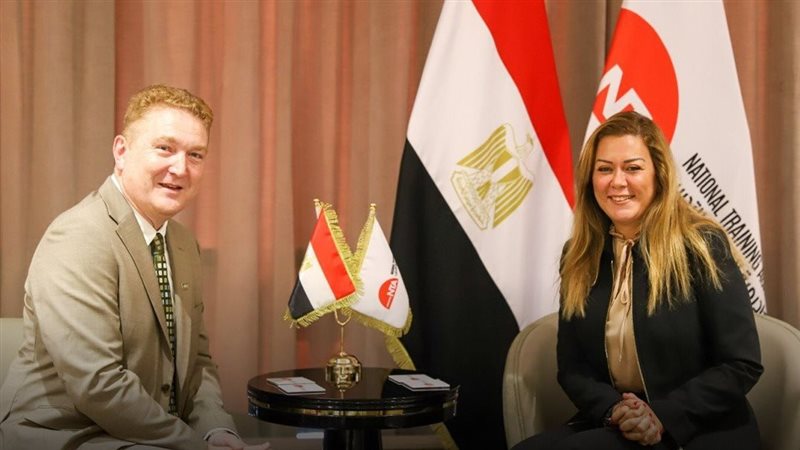 المدير التنفيذي للمجلس