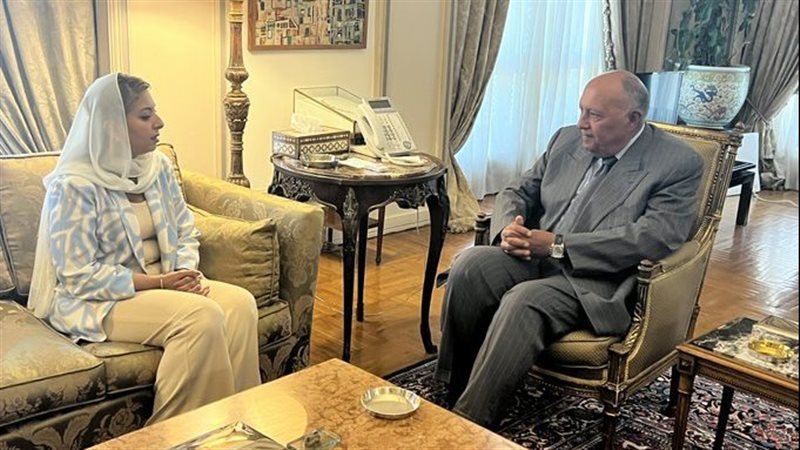 سامح شكري وزير الخارجية،