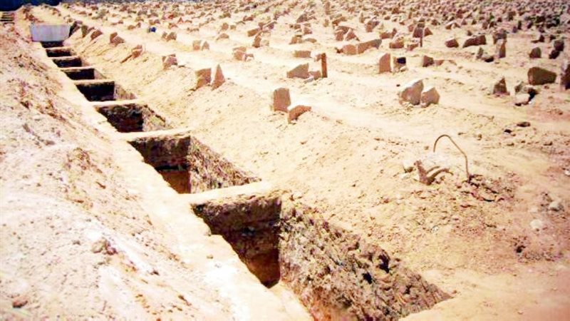 ماذا سوف يجد الإنسان