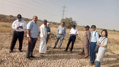 جايكا اليابانية تبحث مشكلة ملوحة التربة ومياه الصرف الزراعي بالوادي الجديد 