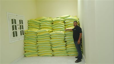 وصول تقاوي القمح لإدارة القنطرة شرق الزراعية (صور) 