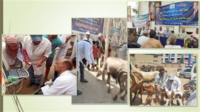 إطلاق قافلة طبية بيطرية بمركز ببلبيس في الشرقية 