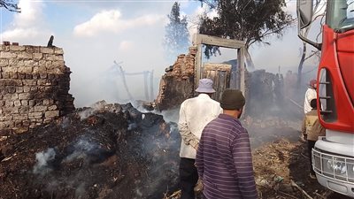 نفوق 6 رؤوس ماشية في حريق حظيرة بالدقهلية