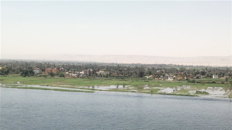حالة الطقس، فيتو