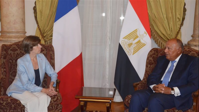 سامح شكرى وزير الخارجية