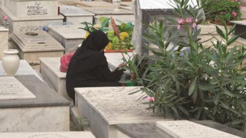 القبر، فيتو