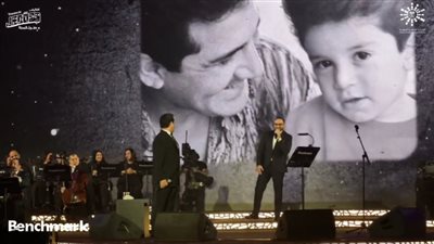 مروة ناجي: غناء أحمد ومحمد ثروت خاطب مشاعر كل العالم العربي