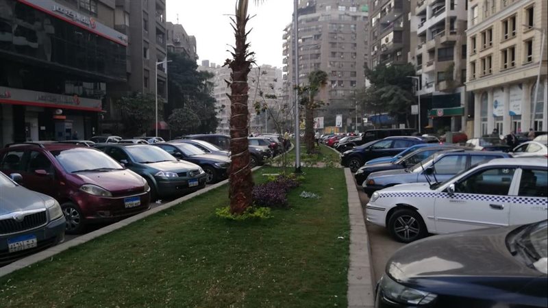 قانون انتظار السيارات،فيتو