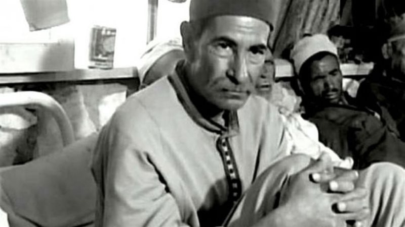 شفيق نور الدين فى
