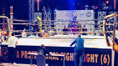 السياحة تعلن انطلاق مهرجان سيناء عاصمة السلام ببطولة المحترفين للفنون القتالية