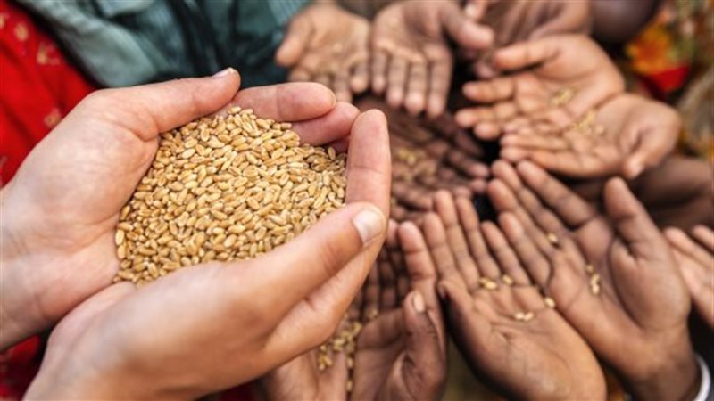 أزمة الغذاء العالمية،