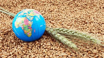   أستاذة اقتصاد تؤكد ضرورة توسيع الرقعة الزراعية للحفاظ على الأمن الغذائي