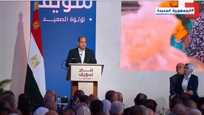  بعد رفع الأجور والمعاشات، كيف استقبل أعضاء مجلسي النواب والشيوخ القرارات الرئاسية؟