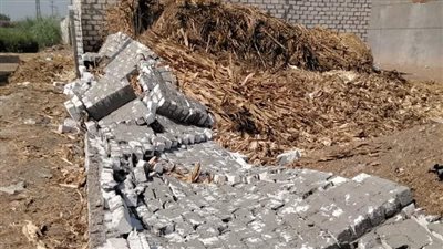 إزالة 20 حالة تعد على مساحة 2647 مترا بالبحيرة (صور)