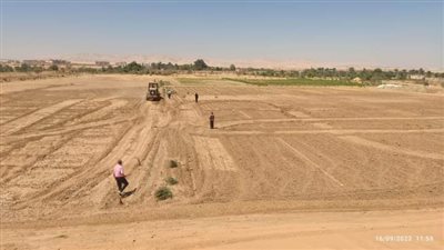 إزالة زراعات فى المهد بمساحة ١٩ فدانا بقرى العبور بواحة الخارجة (صور)