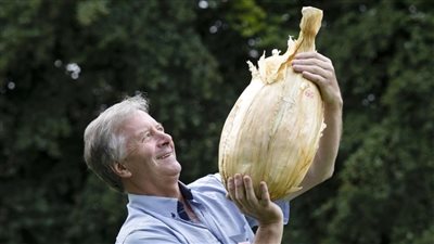 عرض بصلة تزن 9 كيلوجرامات في أحد المعارض ببريطانيا 