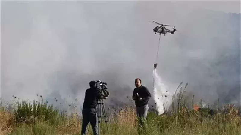 أرشيفية، فيتو