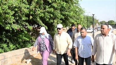 إنشاء موقف دائم لعربات الحنطور للحد من العشوائية فى أسوان (صور)