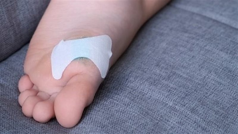 عين السمكة، فيتو