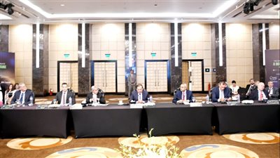 وزير البترول يرأس مائدة مستديرة مع الشركاء العالميين لبحث خفض الانبعاثات الكربونية