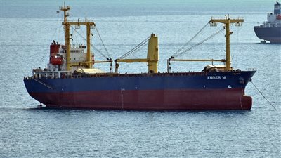 تداول 13 ألف طن و665 شاحنة بضائع عامة ومتنوعة بموانئ البحر الأحمر