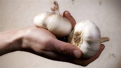 فوائد الثوم على الريق، يقوي المناعة ويريح الأمعاء