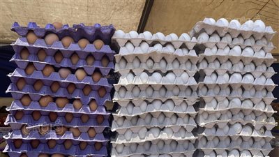 قبل عودة المدارس، تعرف على أسعار البيض في الأسواق (صور)