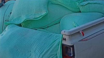 ضبط كميات من الدقيق المدعم قبل بيعه بالسوق السوداء في الإسماعيلية 