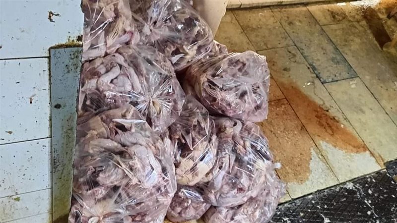 ضبط لحوم فاسدة بالجيزة،