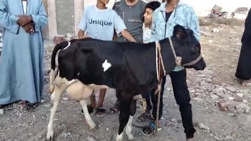 أهالي قرية بالبحيرة