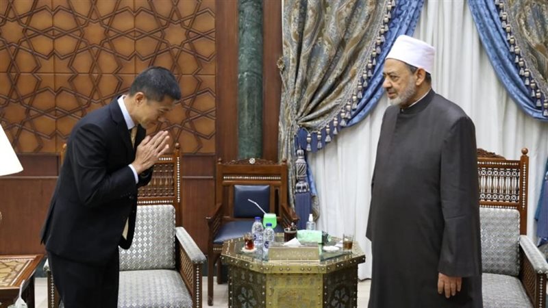 لقاء شيخ الأزهر مع