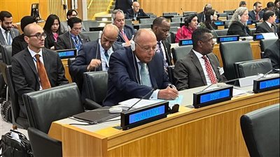 وزير الخارجية يشارك في الاجتماع رفيع المستوى لمجموعة أصدقاء مبادرة التنمية العالمية 