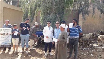 الطب البيطري يفحص 38 رأس ماشية في الجيزة (صور)