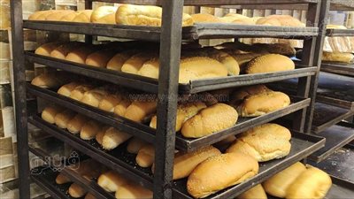 العام الدراسي الجديد يطرق الأبواب.. القائمة الكاملة لأسعار الفينو والمخبوزات في المحال والأسواق (فيديو وصور) 