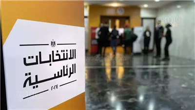 أسباب رفض الأحزاب والنواب الرقابة الدولية على الانتخابات الرئاسية.. انتهاك سيادة الدولة الأبرز.. والإشراف القضائي يحقق النزاهة 