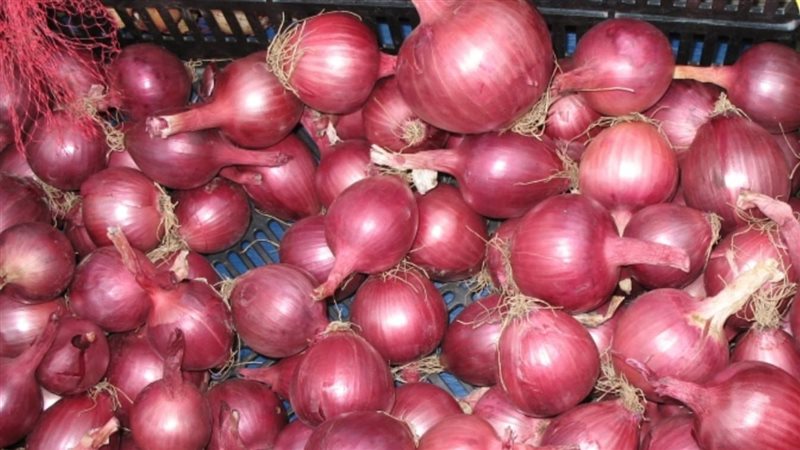 اسعار البصل، فيتو