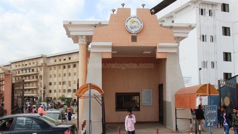 جامعة بني سويف، فيتو