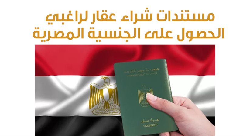 صورة أرشيفية، فيتو