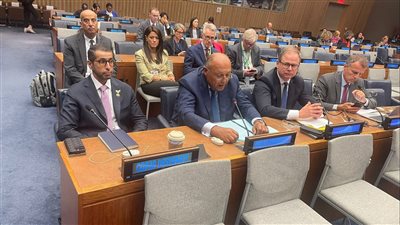 سامح شكري يدعو المجتمع الدولي إلى مبادلة الديون بالعمل المناخي