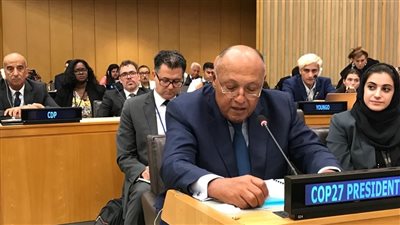 الخارجية: حذرنا من التصعيد الإسرائيلي وممارسات تل أبيب وراء ما وصلنا إليه اليوم (فيديو)