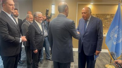خطوة هامة لتطبيع العلاقات، تفاصيل لقاء وزيري خارجية مصر وإيران في نيويورك