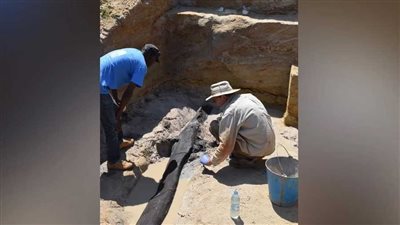 عمره قرابة نصف مليون سنة، قصة العثور على أقدم هيكل خشبي