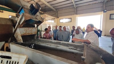 محافظ شمال سيناء: جاهزون لموسم عصر الزيتون 