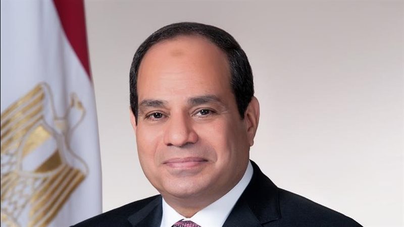 الرئيس السيسي، فيتو