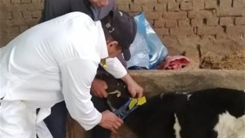 قافلة بيطرية للكشف
