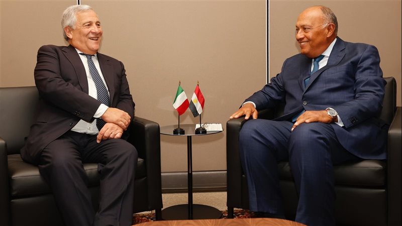 سامح شكرى وزير الخارجية،